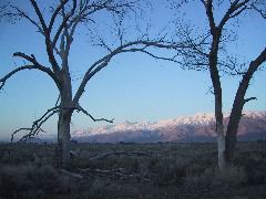 Owens Valley dawn