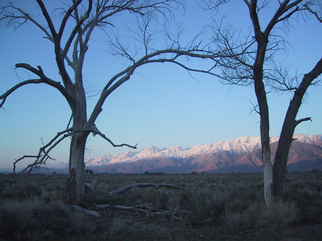 Owens Valley dawn